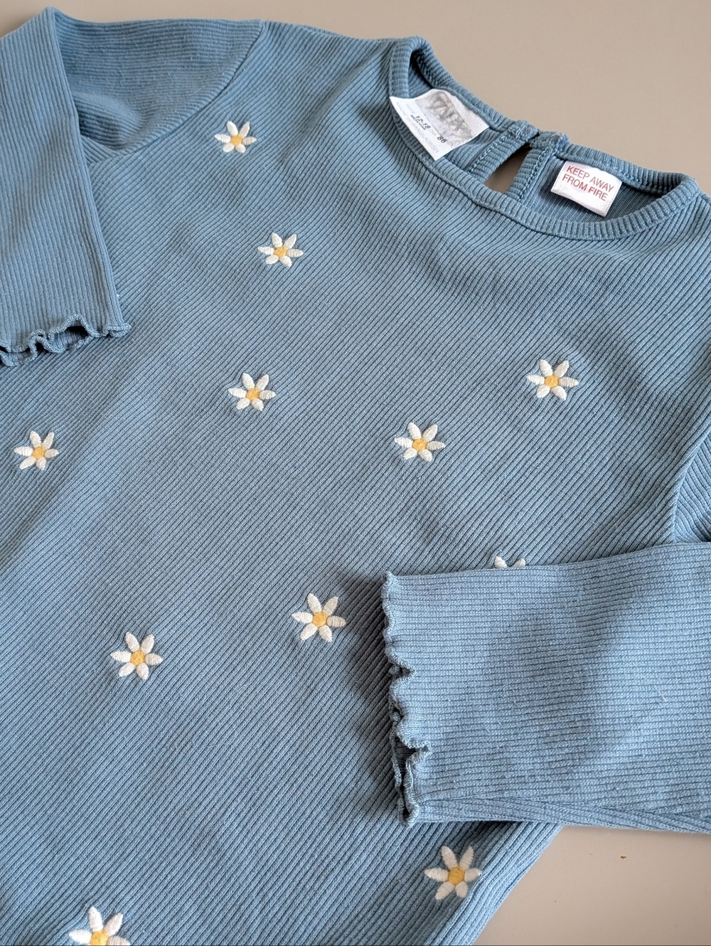 Zara - 12M-18M - Blue Daisy Embroidered Ribbed Knit Top